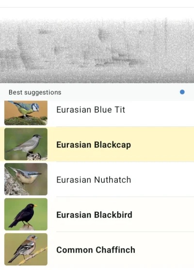 drobnenataryfe - @lunaria tylko z powodu pierwiosnka ściągnęłam tę apkę bo od tygodni...
