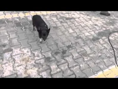 Rustyyyy - @wypok_wypok: