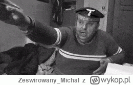 Zeswirowany_Michal - @Bubsy3D