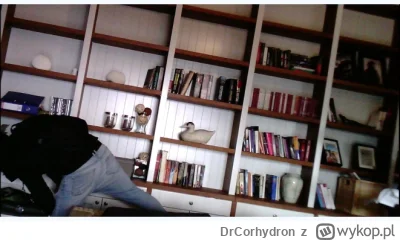 DrCorhydron - @mexxl: @mexxl