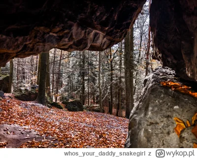 whosyourdaddy_snakegirl - Dzień dobry