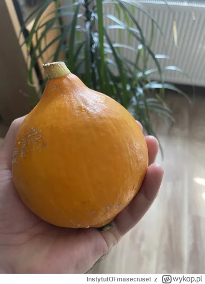 InstytutOFmaseciuset - Aaaakurła nie dla was połaki łobaki
#testoviron #bogactwo #ogr...