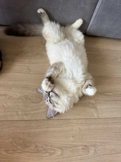 pusssia - @Kantorwymianymysliiwrazen  @walciak  @AlexR 
dzięki! Zaczyna powoli zmieni...