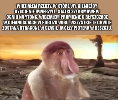 TheSio - #konkursnanajbardziejgownianymemznosaczem #kolekcjaklasyki