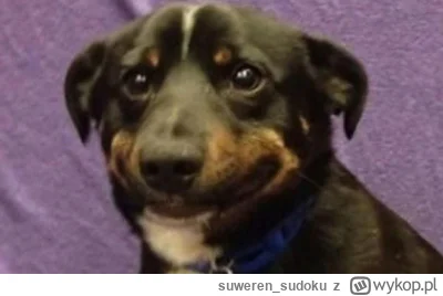 suweren_sudoku - Nadal się nie przyzwyczaiłem, że zwykły lód rożek kosztuje 4,50, a k...