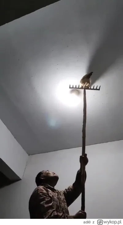 adi0 - Jak usunąć owady bez środków chemicznych? ⬇️
#lifehack #ciekawostki #humor #he...