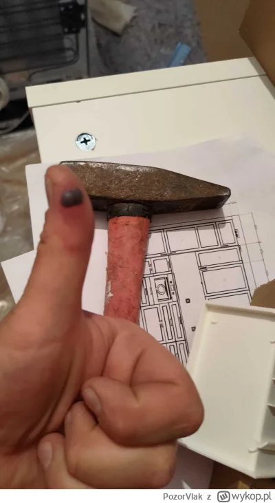 PozorVlak - dwa plusy i rozcinam s------a

#remontujzwykopem #zdrowie  #glupiewykopow...