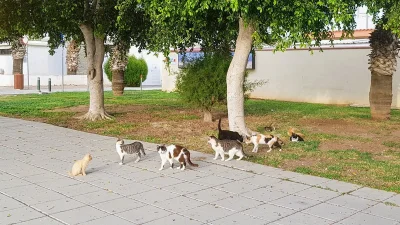 rolnik_wykopowy - >Ale w tym g---o kraju coś takiego oczywiście nie do pomyślenia.

@...