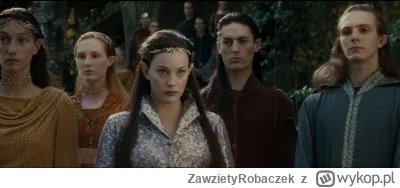 ZawzietyRobaczek - #film #lotr #ladnapani #livtyler #szaramyszkadlaanonka Fajna pyza....