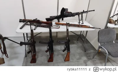 rybka11111 - Nie myślałem nigdy, że w jednym miejscu zobaczę tyle visów, stg44, garan...