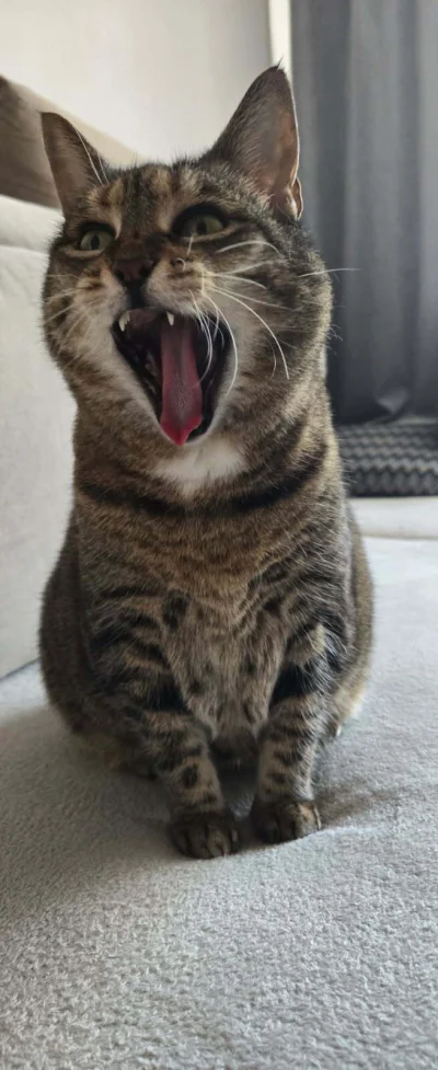 Solsith - @Lujdziarski: a skończy tak( ͡º ͜ʖ͡º)