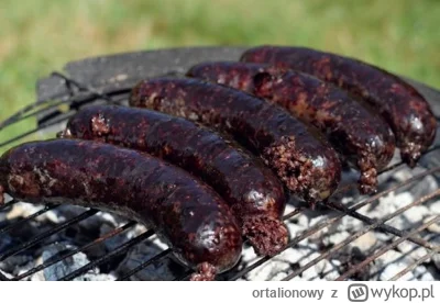 ortalionowy - @twardy_kij: Kaszanka produktem regionalnym chroniony patentem UE!
SPOI...