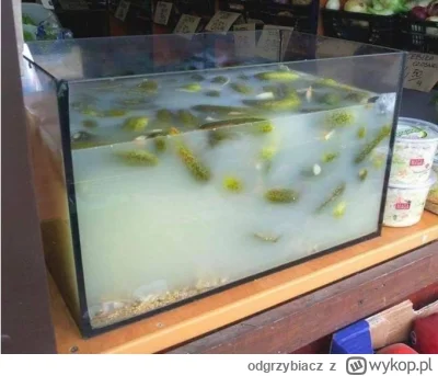 odgrzybiacz - Można i tak... #heheszki #humorobrazkowy