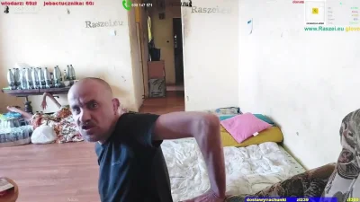 bizzi0801 - Terrorysta
#danielmagical #patostreamy