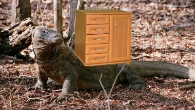 123 - >Waranowi z Komodo

@humanistycznyinzynierze: