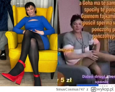 SinusCosinus747 - Co brałbyś? #danielmagical