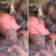 nowszyja - Psiarze, to totalni syfiarze i brudasy. Dlaczego?
- sranie i nie sprzątani...