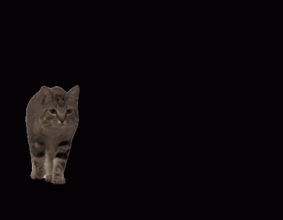 Timer_555 - #przegryw