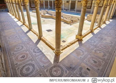 IMPERIUMROMANUM - Villa Romana del Casale – rzymska luksusowa willa na Sycylii

Na Sy...