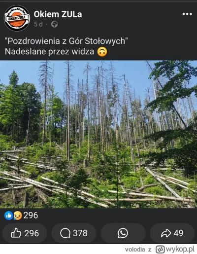 volodia - Olaboga w parku narodowym drzewo umarło (╯°□°）╯︵ ┻━┻
A w komentarzach Mariu...