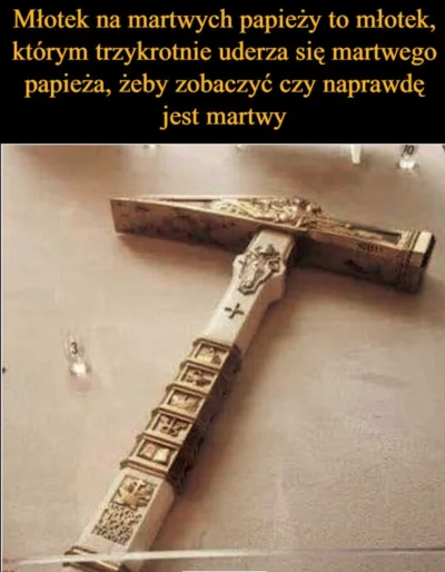 MateuszJakubAndruszkiewicz - #papiez #prawda #heheszki 

Dziś papież dostał młotkiem ...