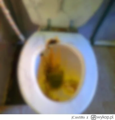 jCastillo - Mój poprzedni post ze zdjęciem klopa prezydenckiego spadł z rowerka więc ...