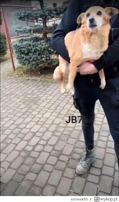 errorek95 - @CzeskaSauna: :(