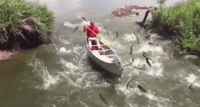 szarekredki - Patrząc na dzisiejsze nastolatki wyobrażam sobie jak się musiał namęczy...