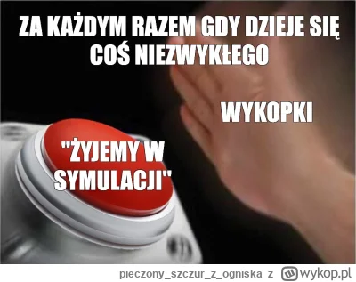 pieczonyszczurz_ogniska - >o #!$%@? żyjemy w symulacji, a co jak to się dzieje tylko ...