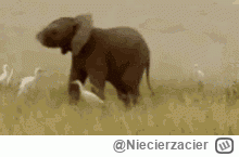 N.....r - @LePetit2197: