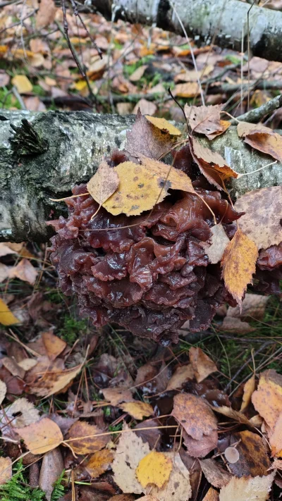 miloscsmiercirobotydrogowe - @miloscsmiercirobotydrogowe