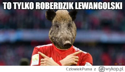 CzlowiekPuma - #mecz