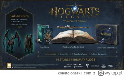 kolekcjonerki_com - Edycja Kolekcjonerska Dziedzictwa Hogwartu na Xbox Series X dostę...