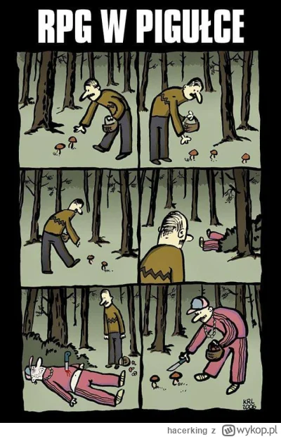 hacerking - #humorobrazkowy #rpg #heheszki #byloaledobre
