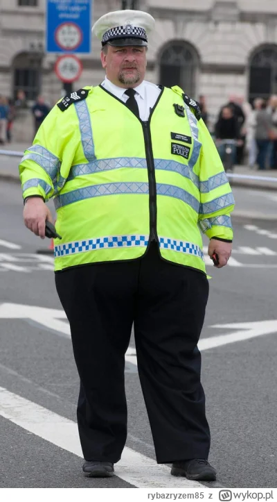 rybazryzem85 - Brytyjska ochrona na stadionie Wembley.
#mecz #ligamistrzow