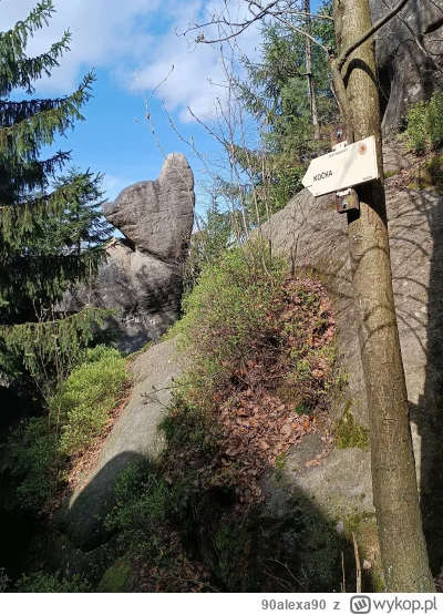 90alexa90 - @Poldek0000: Góry Stołowe, to już po czeskiej stronie. Dużo fajnych skałe...