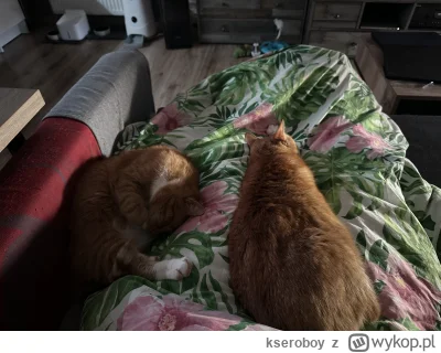 kseroboy - @kseroboy: w zdrowiu i chorobie