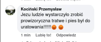 walokid - Dlaczego nikt nie ratuje psa. Przecież wystarczy zrobić prowizoryczną tratw...