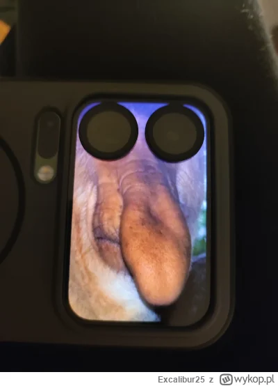 Excalibur25 - #xiaomi