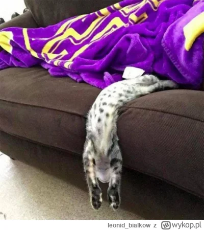 leonid_bialkow - @wfyokyga: cze dla ciebie