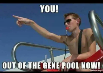 ArchDelux - @tindeRoman: