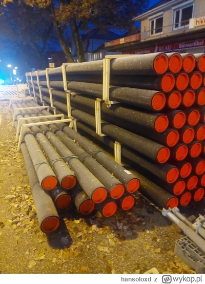 hansoloxd - Achtungi na święta kupione, będzie zemsta za osrane trawniki #heheszki #h...