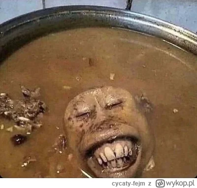 cycaty-fejm - W porównaniu do zupy z małpy to na miękko.