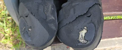 dziobnij2 - #przegryw