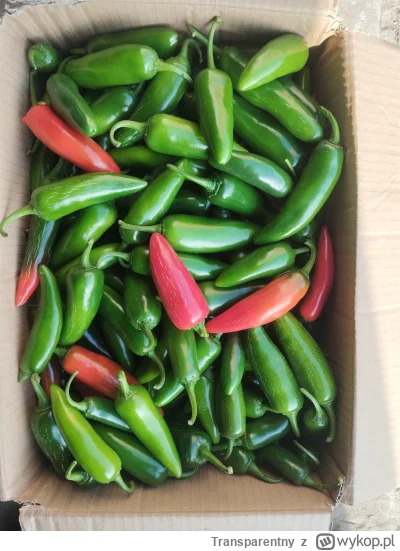 Transparentny - Cześć, 
zapraszam Was do do udziału w pierwszym w tym roku (i pierwsz...