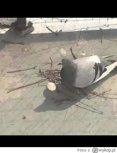 P3tro - @ChlopoRobotnik2137 no legancko ten