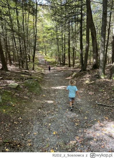 R2D2zSosnowca - Ostatnio coś tam wrzucałem z weekendu a że weekend ma więcej niż jede...