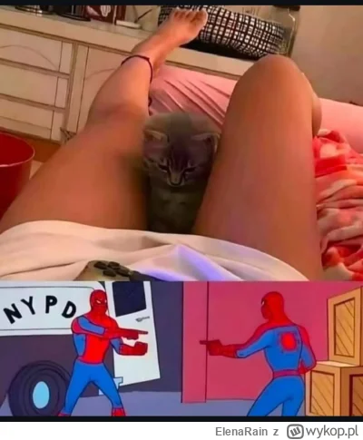 ElenaRain - #heheszki