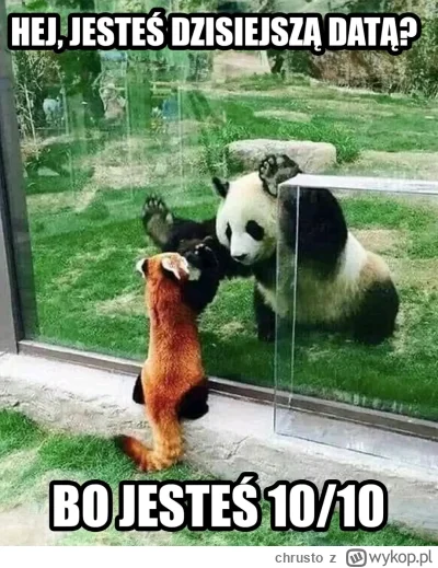 chrusto - (｡◕‿‿◕｡)

#heheszki #humorobrazkowy #grazynacore #tinder #podrywajzwykopem