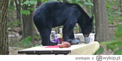 annlupin - #kawatime